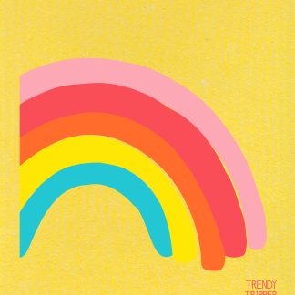 rainbow swedish dishcloth trendy tripper